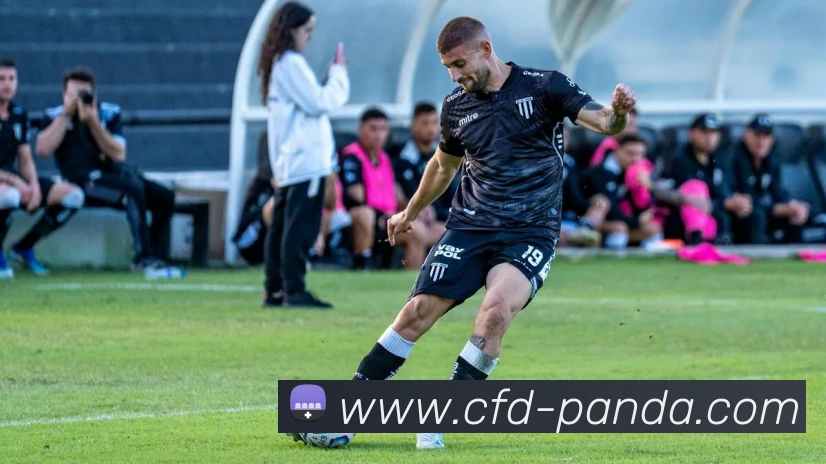 熊猫体育网页版平台生态图